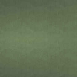 VELOURS VERT JAD